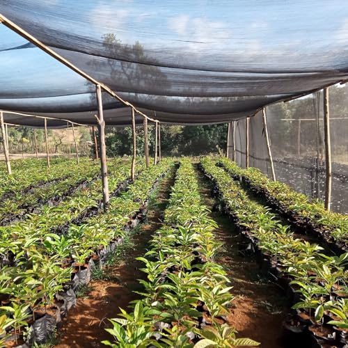 6.5X20Ft 40% Shade Cloth Mesh Tarp K300